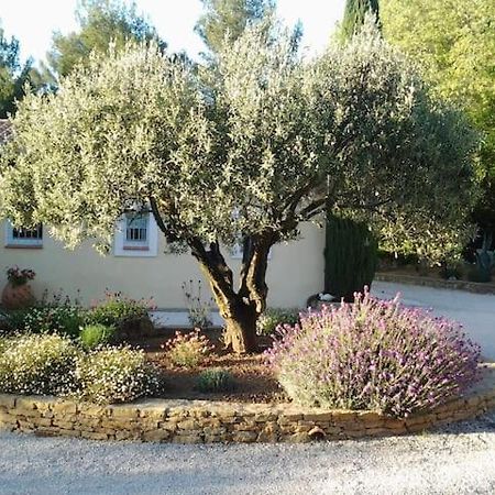 Maison Privee Au Calme Dans Mas Provencal Villa Sanary-sur-Mer Kültér fotó