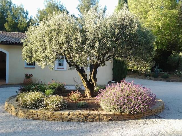 Maison Privee Au Calme Dans Mas Provencal Villa Sanary-sur-Mer Kültér fotó