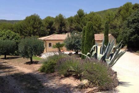 Maison Privee Au Calme Dans Mas Provencal Villa Sanary-sur-Mer Kültér fotó